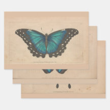 Vintage Blaue Butterfly Schwergewicht-Decoupage