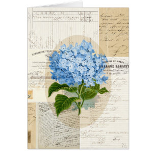 Vintage blaue Hydrangea-Franzose-Karte