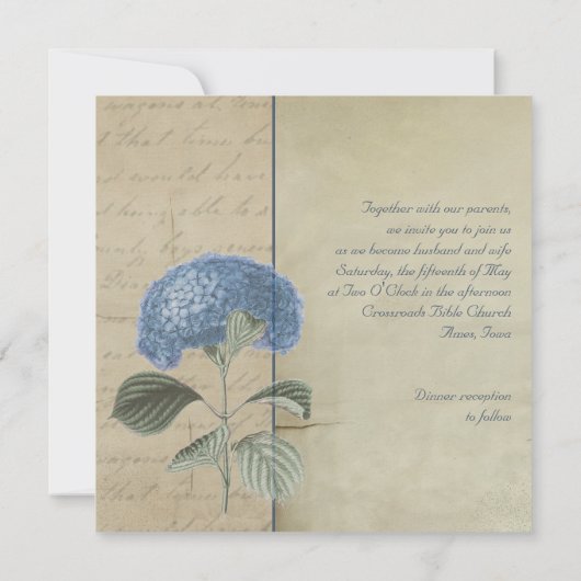Vintage blaue Hydrangea-Hochzeit Einladung (Rückseite)