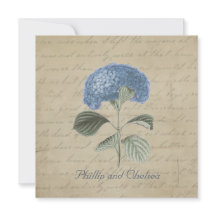 Vintage blaue Hydrangea-Hochzeit