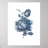 Vintage blaue Rose Zeichnend Poster (Vorne)