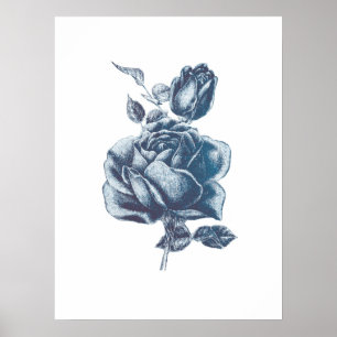 Vintage blaue Rose Zeichnend Poster