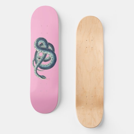 Vintage Blaue Schlangenabbildung auf Rosa Skateboard (Vorderseite)