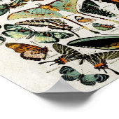 Vintage blaue Schmetterlinge Wall Art Poster (Ecke)