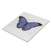 Vintage blaue Schmetterlings-Fliese Fliese (Seite)