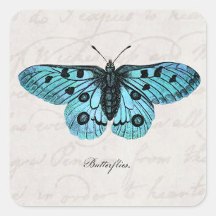 Vintage Blaue Schmetterlings-Illustration - 1800er Quadratischer Aufkleber