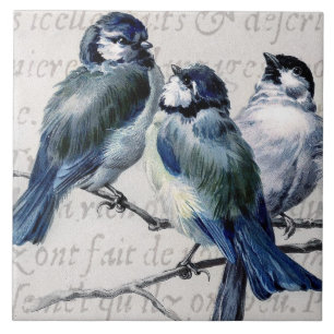 Vintage Blaue Vögel Collage - Anpassbare Blaue Vög Fliese
