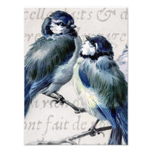 Vintage blaue Vogel-Collage - kundengebundene Fotodruck