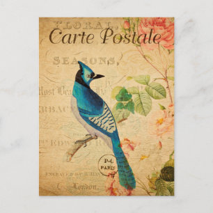 Vintage Blauracken-Vogel Blumen Floral Französisch Postkarte