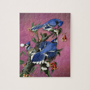 Vintage Blue- Jaysillustration (Audubon) Puzzle