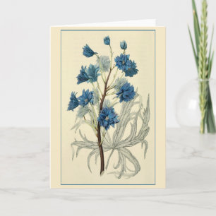 Vintage Blue Larkspur Blume Karte