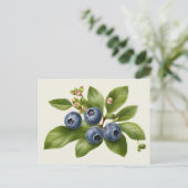 Vintage Blueberry Fruit Illustration Postkarte (Stehend Vorderseite)