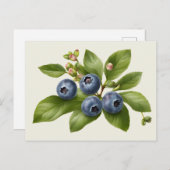 Vintage Blueberry Fruit Illustration Postkarte (Vorne/Hinten)