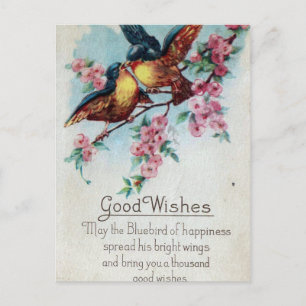 Vintage Bluebird-Ziele Postkarte