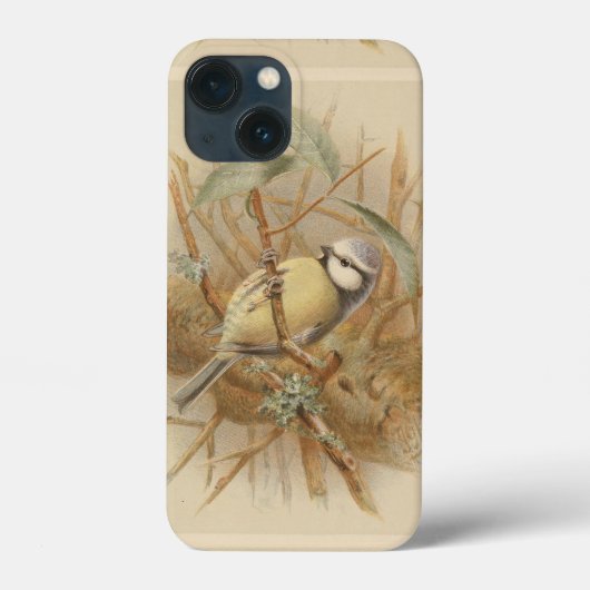 Vintage Bluetit-Illustration Case-Mate iPhone Hülle (Rückseite)