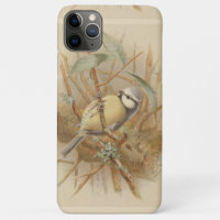 Vintage Bluetit-Illustration