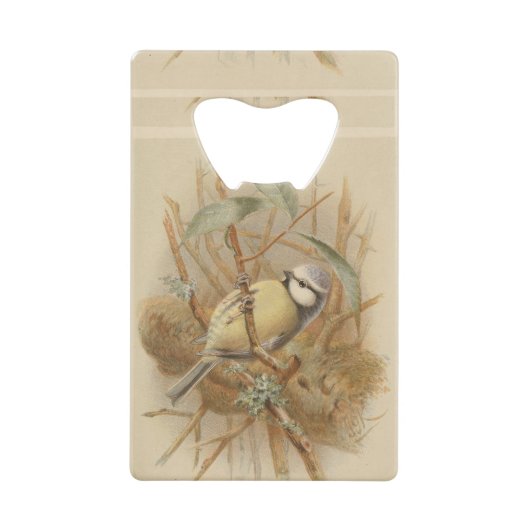 Vintage Bluetit-Illustration Geldbeutel Flaschenöffner (Vorderseite)