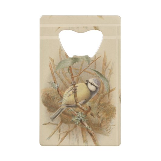 Vintage Bluetit-Illustration Geldbeutel Flaschenöffner (Vorderseite)