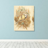 Vintage Bluetit-Illustration Leinwanddruck (Insitu (Holzboden))