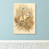 Vintage Bluetit-Illustration Leinwanddruck (Insitu (Holzboden))
