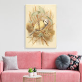 Vintage Bluetit-Illustration Leinwanddruck (Insitu (Wohnzimmer))