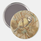 Vintage Bluetit-Illustration Magnet (Vorderseite/Rückseite)