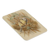 Vintage Bluetit-Illustration Magnet (Rechte Seite)