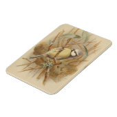 Vintage Bluetit-Illustration Magnet (Linke Seite)