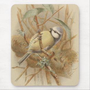 Vintage Bluetit-Illustration Mousepad