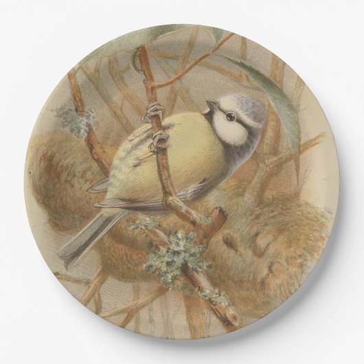 Vintage Bluetit-Illustration Pappteller (Vorderseite)