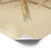 Vintage Bluetit-Illustration Poster (Ecke)