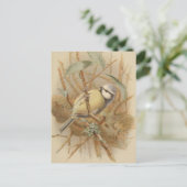 Vintage Bluetit-Illustration Postkarte (Stehend Vorderseite)