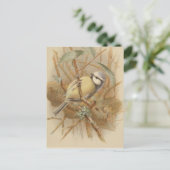 Vintage Bluetit-Illustration Postkarte (Stehend Vorderseite)