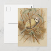 Vintage Bluetit-Illustration Postkarte (Vorne/Hinten)