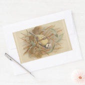 Vintage Bluetit-Illustration Rechteckiger Aufkleber (Umschlag)