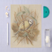 Vintage Bluetit-Illustration Seidenpapier (Handwerk)