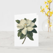 Vintage blühende weiße Magnolien-Blüten-Blumen Karte (Gelbe Blume)