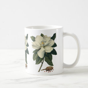 Vintage blühende weiße Magnolienblüten Kaffeetasse