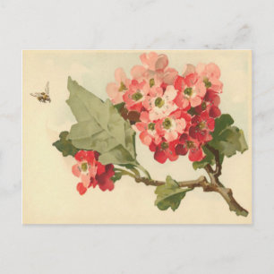 Vintage-Blühender-Baum-Postkarte Postkarte
