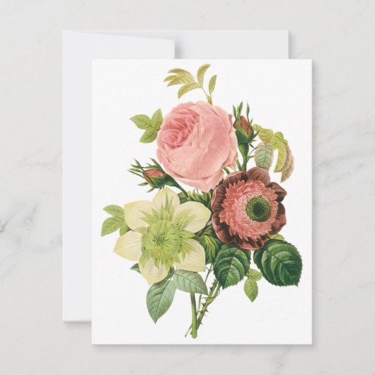Vintage Blume, Anemone Rose Clematis von Redoute (Vorderseite)