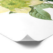 Vintage Blume, Anemone Rose Clematis von Redoute Poster (Ecke)