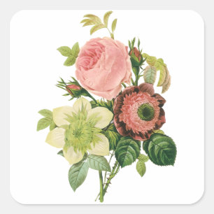 Vintage Blume, Anemone Rose Clematis von Redoute Quadratischer Aufkleber