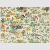 Vintage Blume Antike botanische Flora Seidenpapier (Vorderseite)