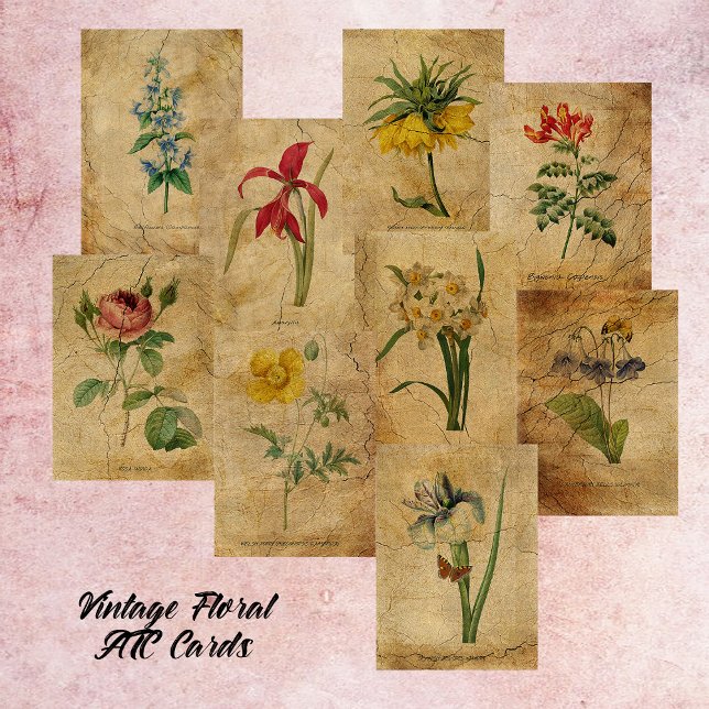 Vintage Blume ATC Cards - Scrapbook Seite (Von Creator hochgeladen)