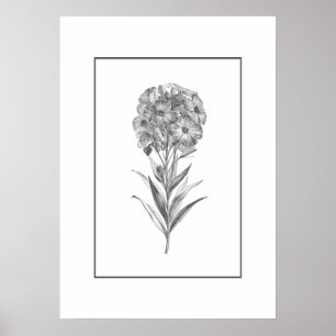 Vintage Blume-Ätzdruck Poster