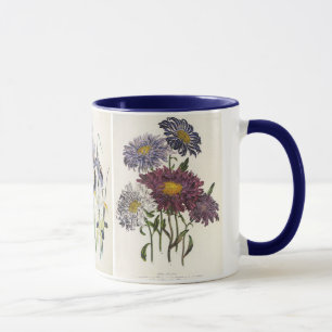 Vintage Blume, Blüten, Aster, Ire und Mohnblumen Tasse