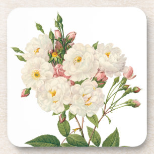 Vintage Blume Blütenrot Noisette Rose Redoute Getränkeuntersetzer