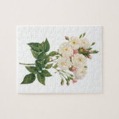 Vintage Blume Blütenrot Noisette Rose Redoute Puzzle (Horizontal)