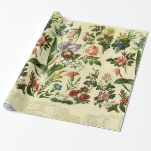 Vintage Blume Botanicals Geschenkpapier