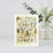 Vintage Blume Botanische Illustration Postkarte (Stehend Vorderseite)